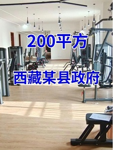 [政府单位商用健身房器材配置方案案例]西藏某县政府